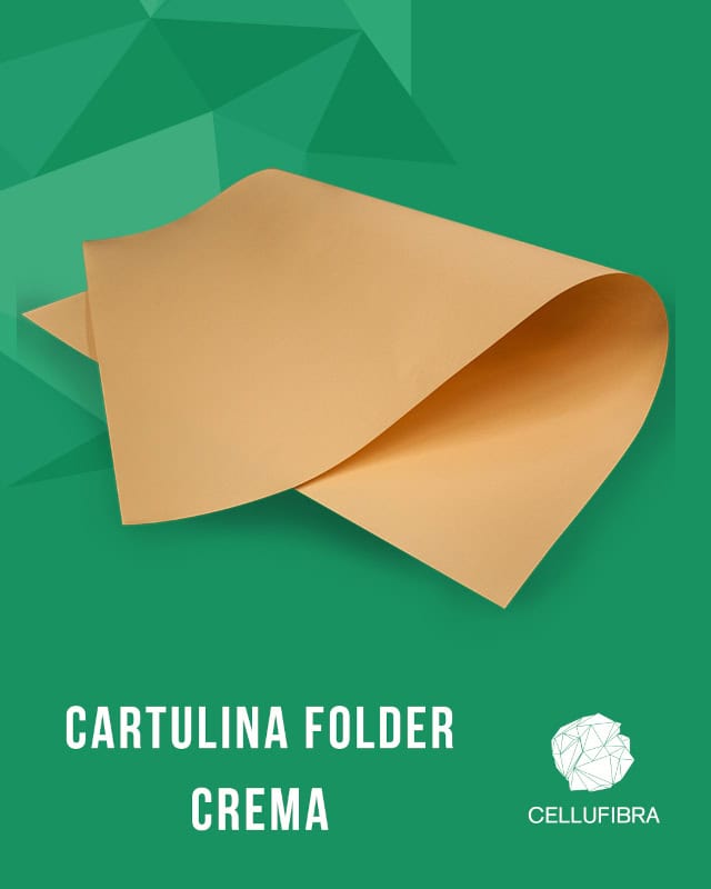 Cartulina Escolar